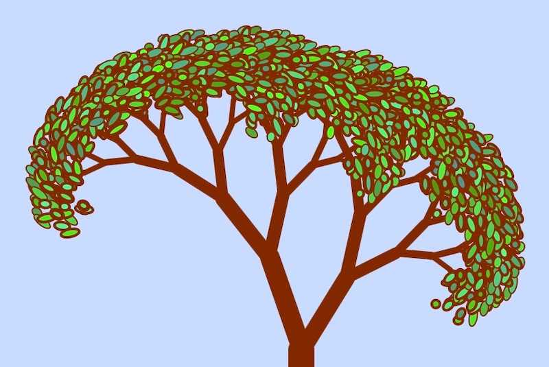 Animated Fractral tree on Codepen using P5.JS