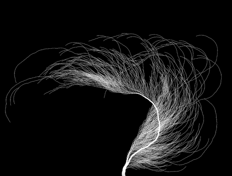 Collatz tree where the branch width is proportional to the number of times a number is used