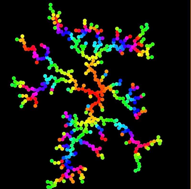 Brownian Tree